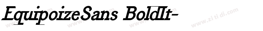 EquipoizeSans BoldIt字体转换